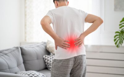 Chiropractor vs. Physiotherapist: Key Differences