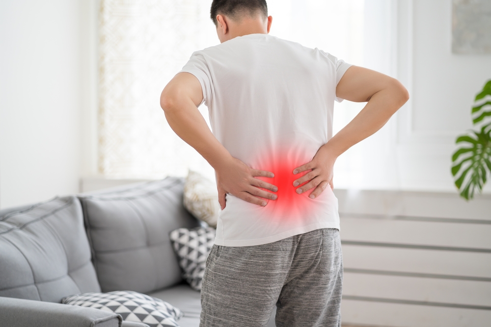 Chiropractor vs. Physiotherapist: Key Differences