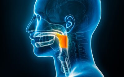 VitalStim Therapy & Physiotherapy Solutions