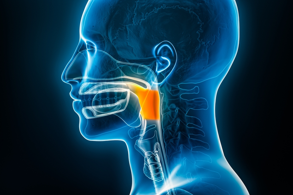 VitalStim Therapy & Physiotherapy Solutions